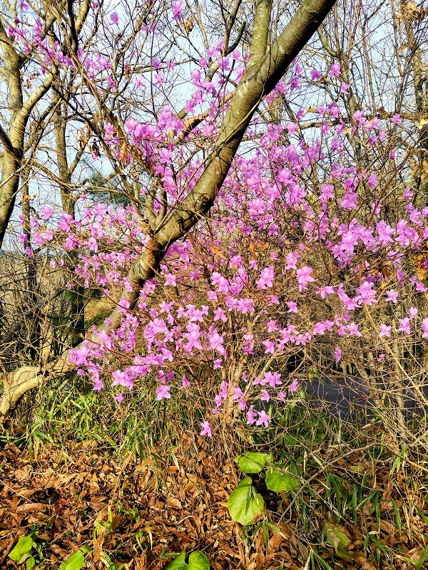 s e501ee8e 2df7 4a96 bf5c 218f5f97a0011