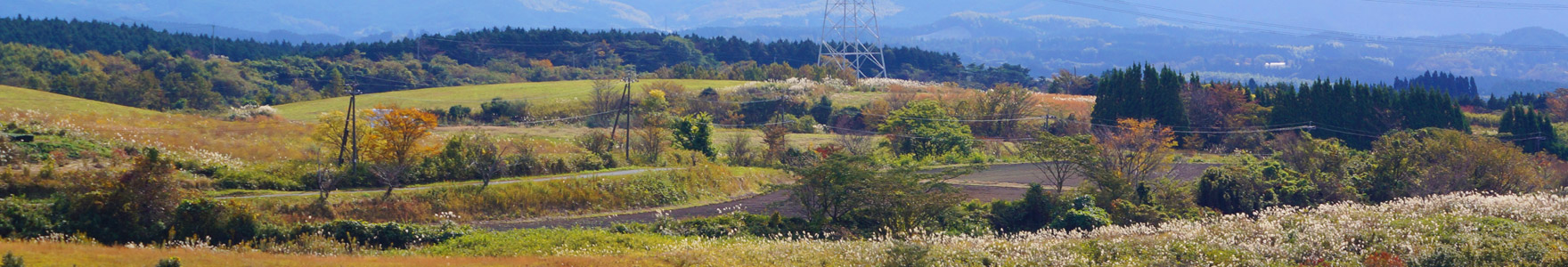 headerimage02