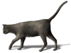 Captcha image 3287