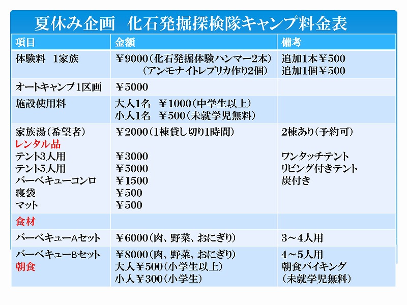 s 夏休み企画料金表1