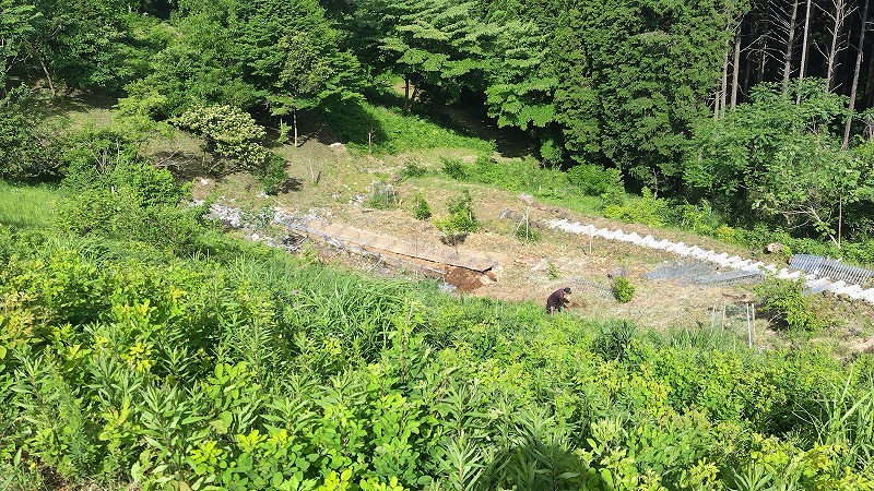 s 240519090443206