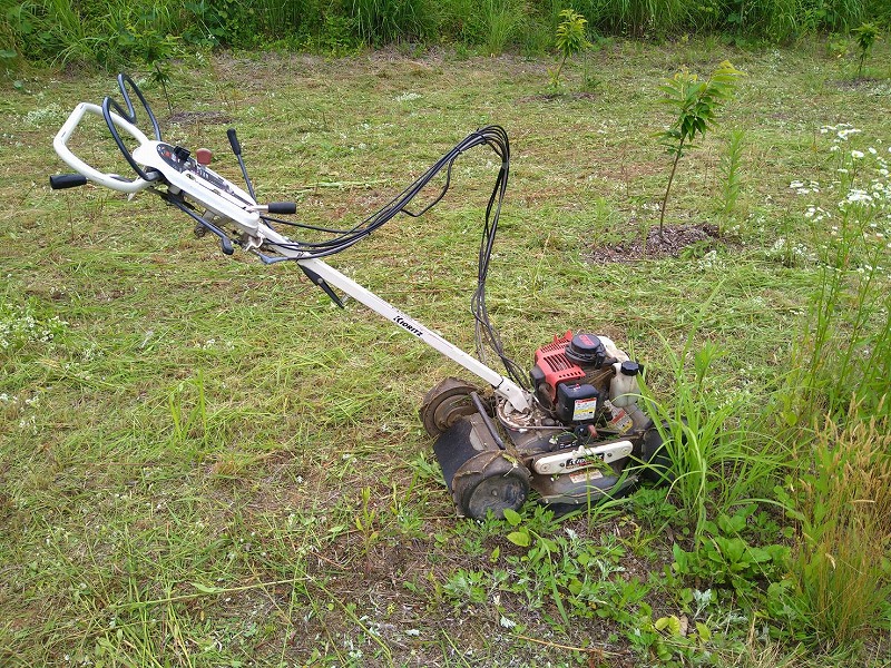 s 1717887044913