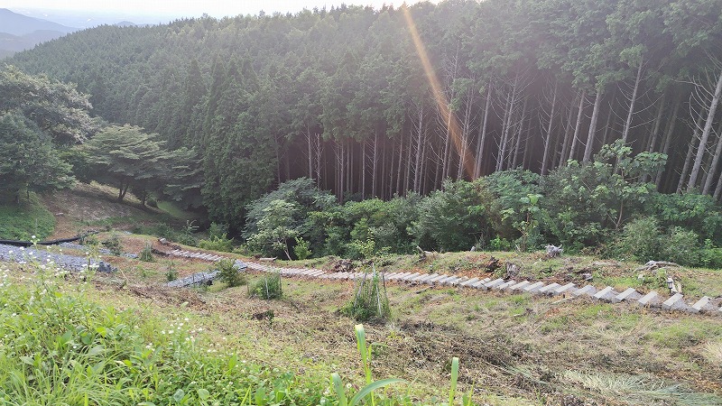 s 240717184740829