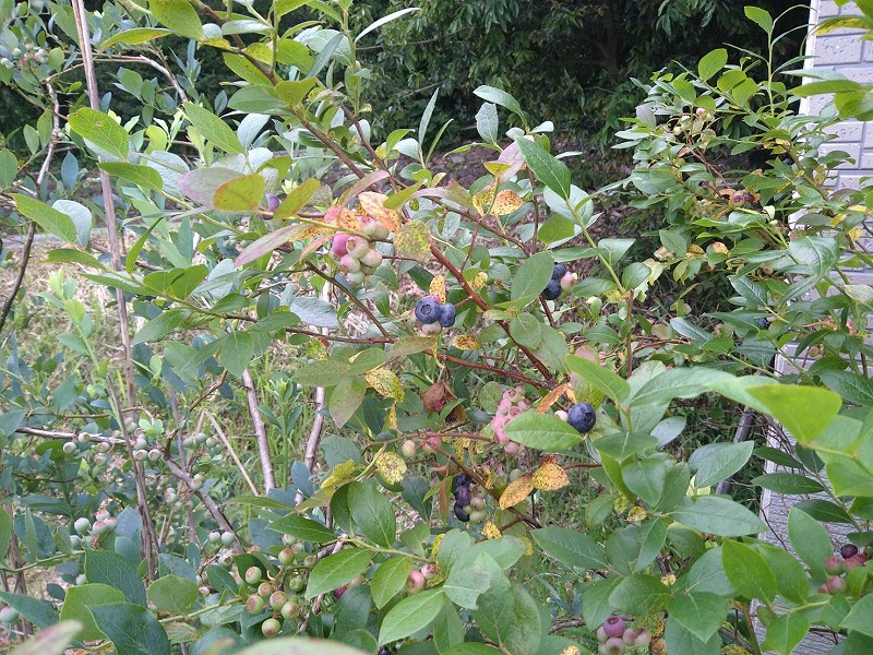s 1750555189543