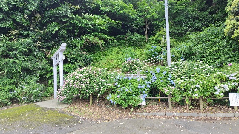 s 240528171837017