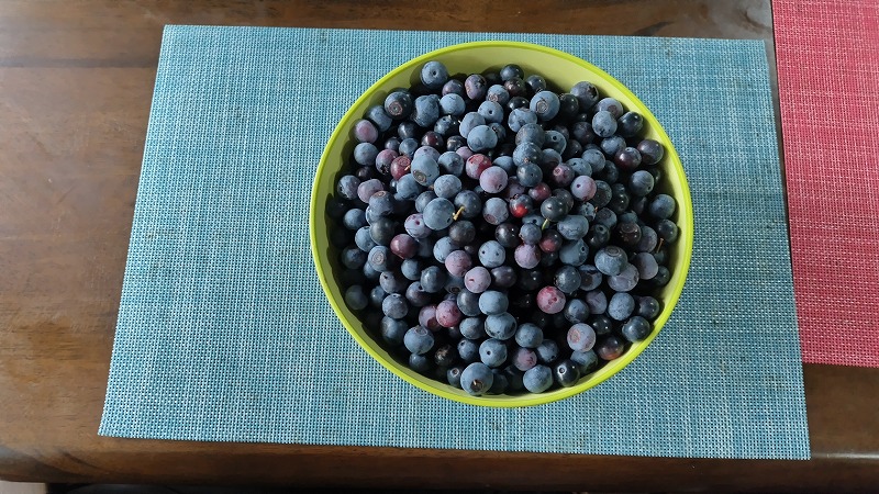 s-240716073801706.jpg